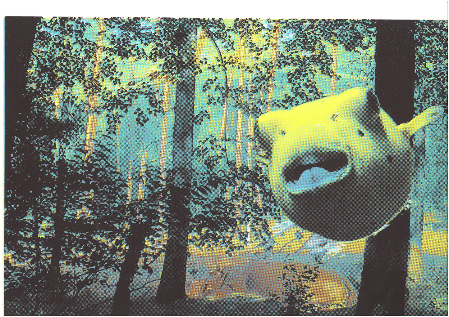 hidden hippo, Siebdruck