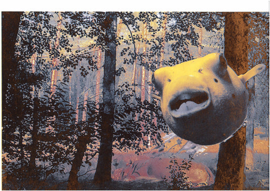 hidden hippo, Siebdruck