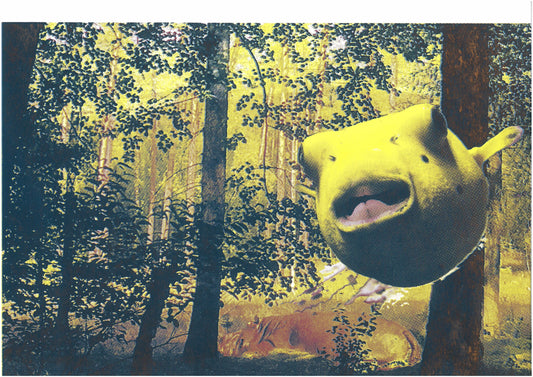hidden hippo, Siebdruck